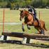 MTPC Horse Trials